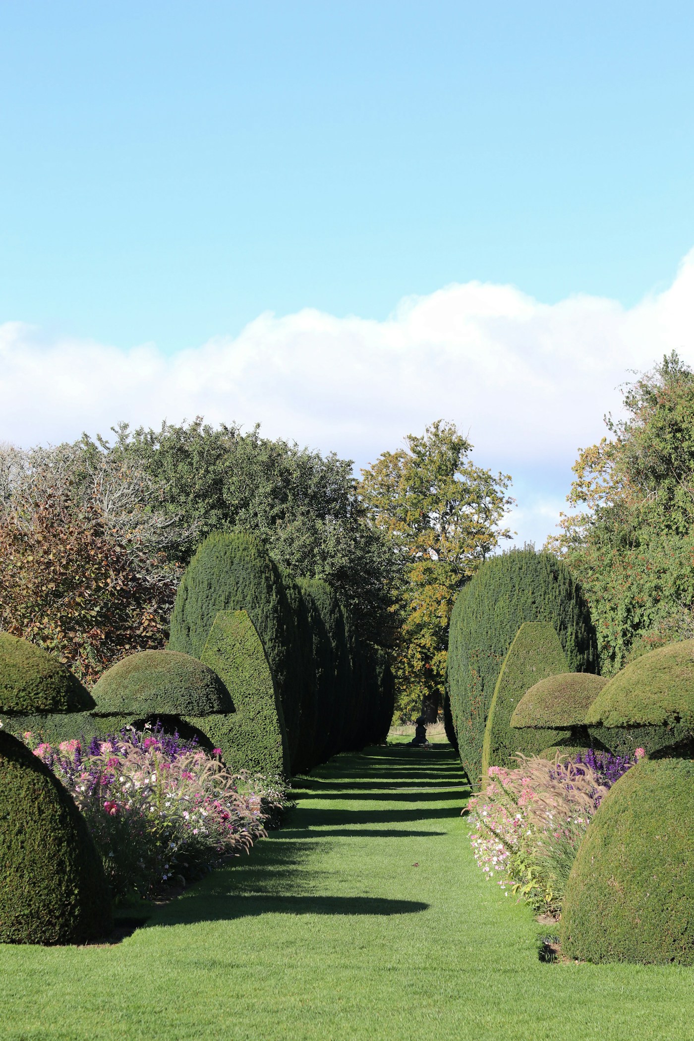 Sculptural greenery and a carefully landscaped garden
